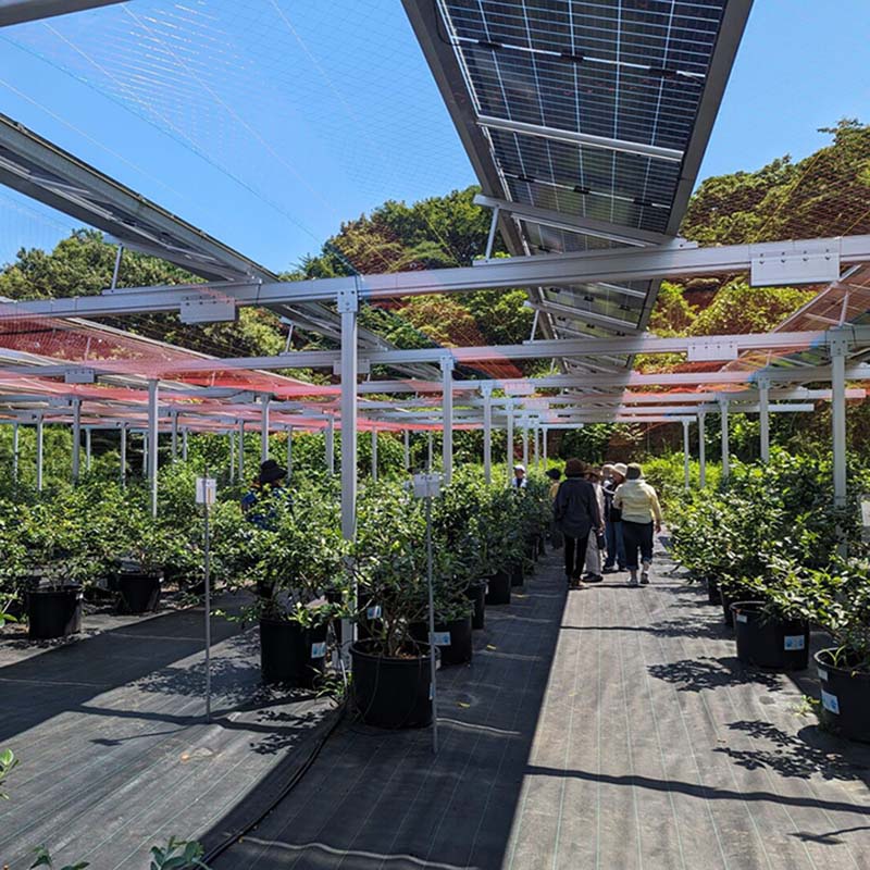 Solar Drying Greenhouse