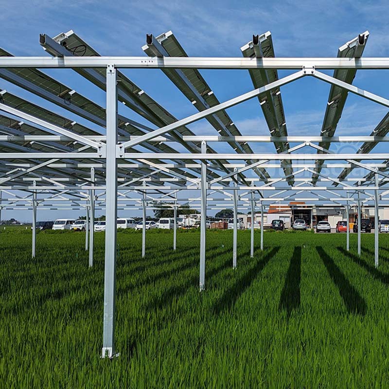Wie man den ROI von Solarmontagesystemen auf landwirtschaftlichen Flächen maximiert
